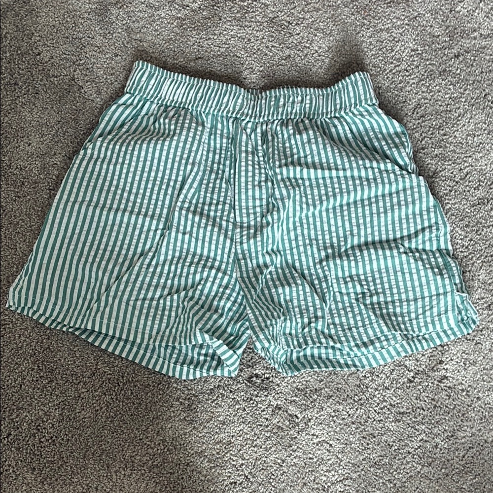 Striped Green Women's Shorts never worn